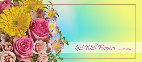 Beautiful Seasonal Flowers Banner